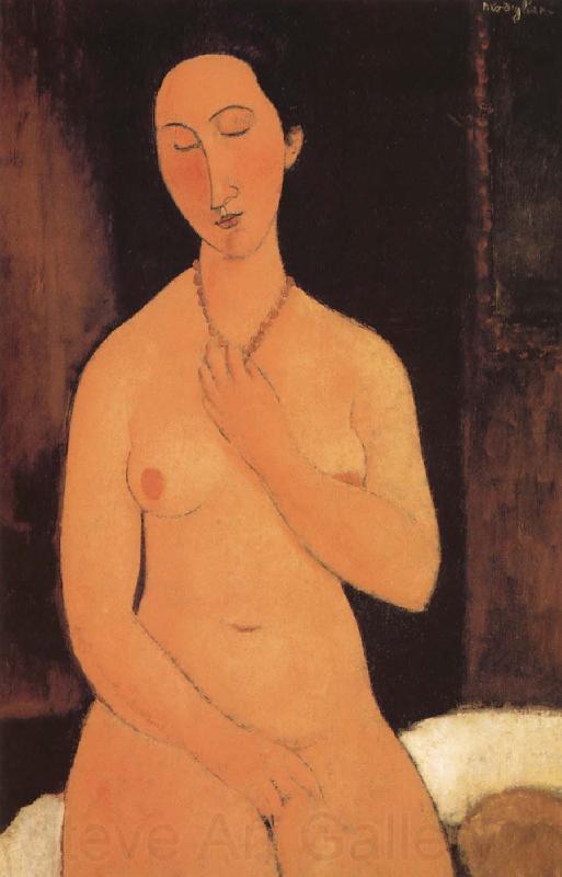 Amedeo Modigliani Seated unde with necklace Spain oil painting art